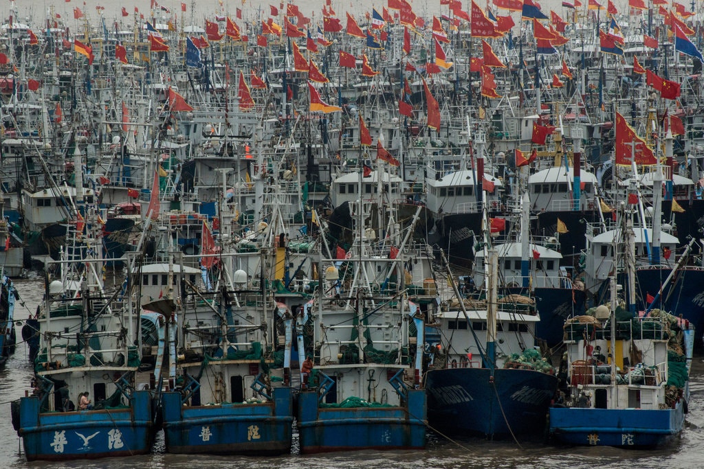 flota pesquera china 